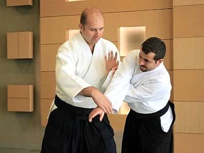aikido, ingiltere, london, halis duran, eğitim, seminer, 