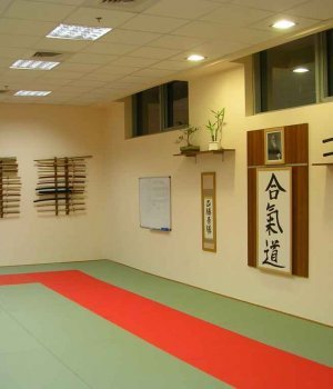 aikido, dojo, okul, tatemi, sensei, kurallar, disiplin, çocuk aikido, istanbul, etiler, 