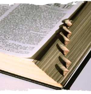 aikido, dojo, okul, tatemi, sensei, kurallar, disiplin, çocuk aikido, istanbul, etiler, terimler, halis duran, 